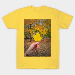 under the yellow maple tree T-Shirt